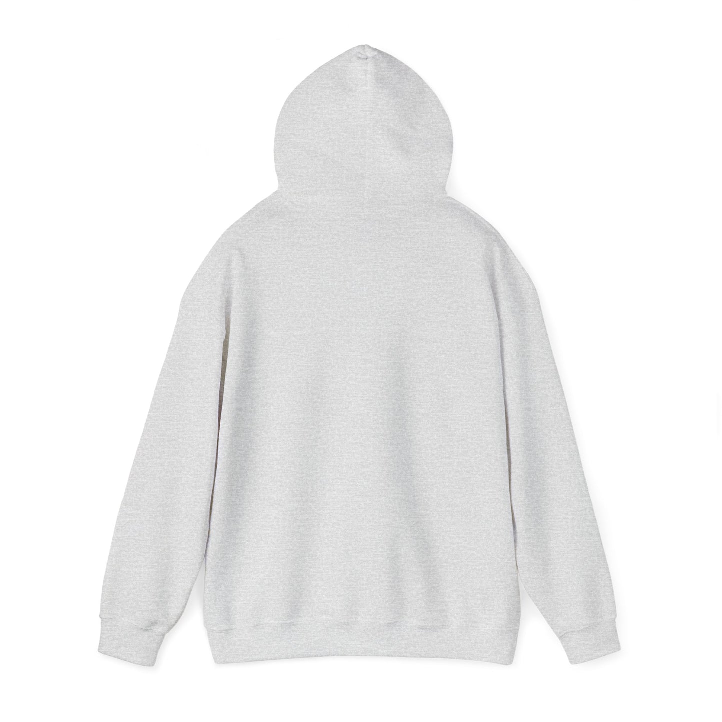 Women's Pullover Hoodie - Dream Big Hooded Sweatshirt
